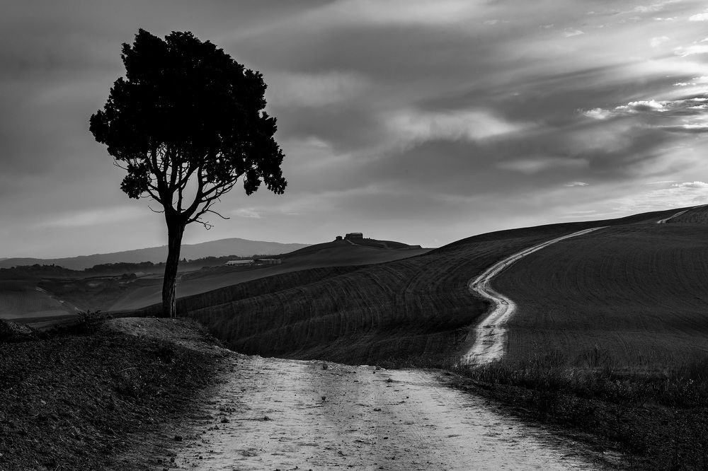 Crete Senesi