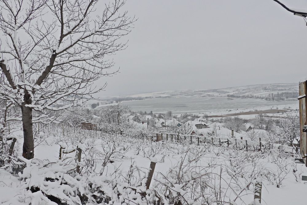 Photograph by Nicolae Dudnicenco