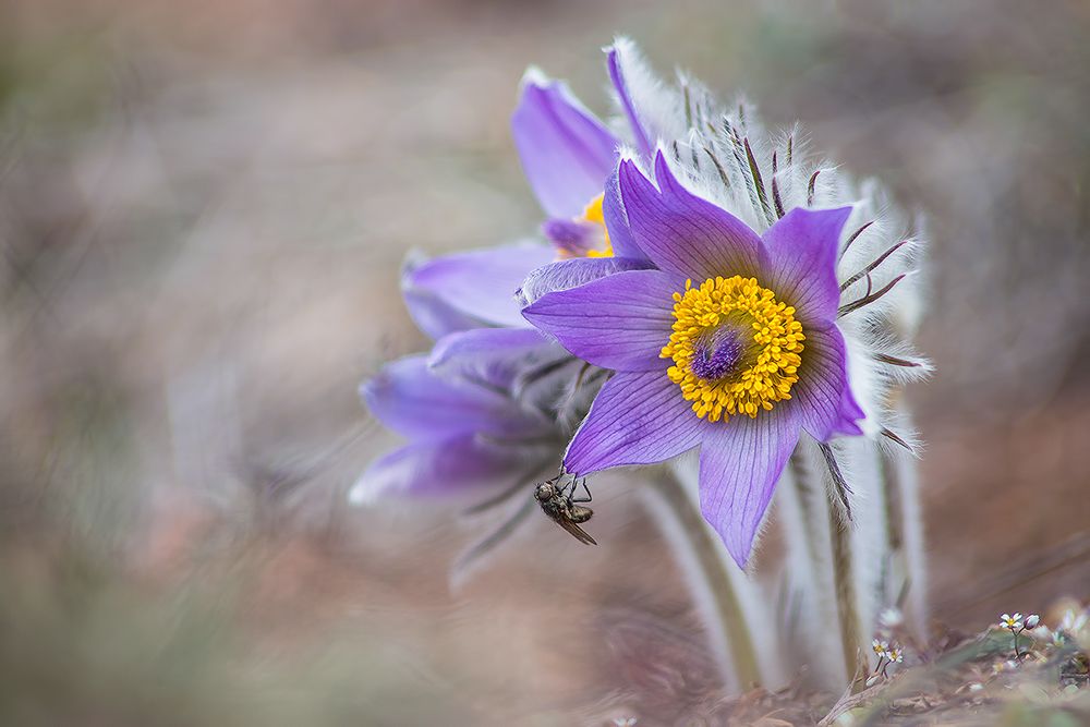 Photograph by Svetoslav Georgiev