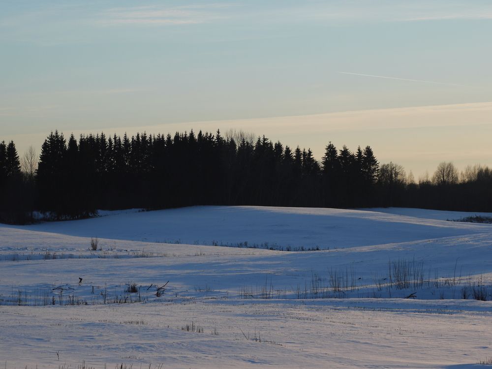 Photograph by Иван Скрипкин