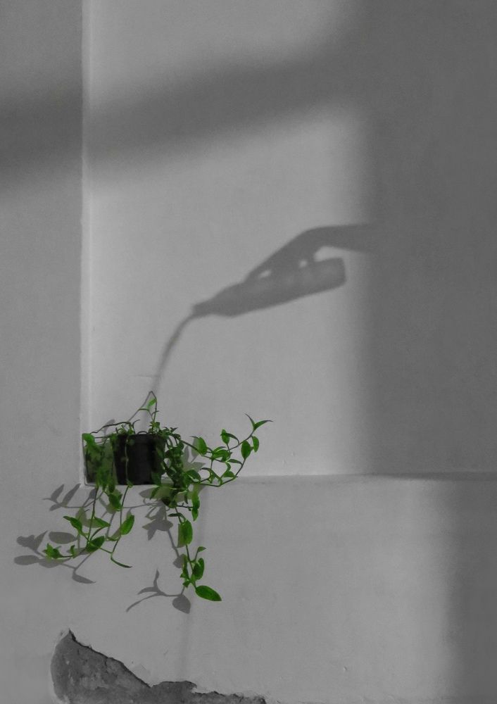 Photograph by Kobra Rezaei