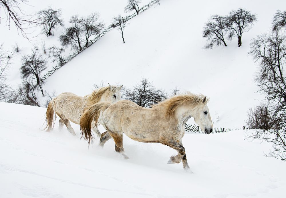 Photograph by Minko Mihaylov