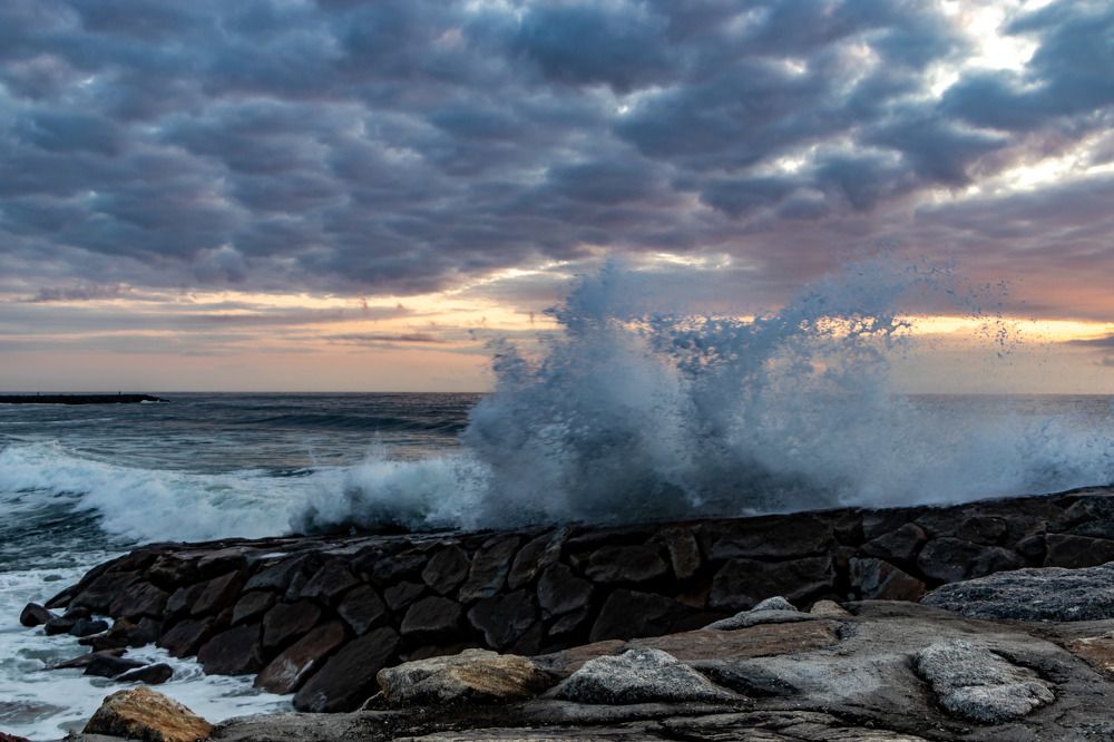 Photograph by Maria Fernanda Martins