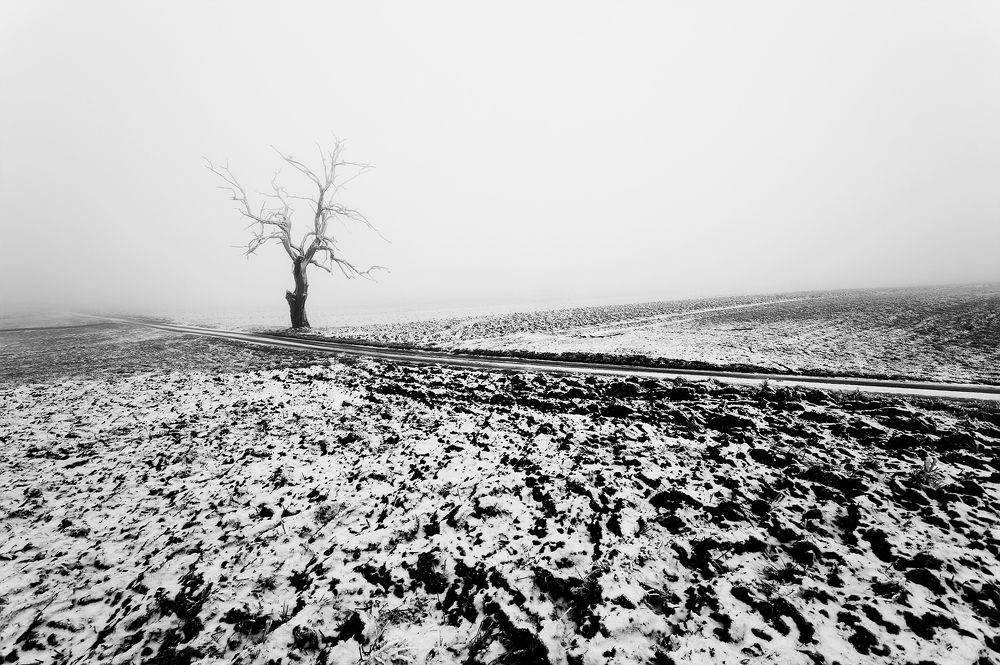 Photograph by Magda Chudzik