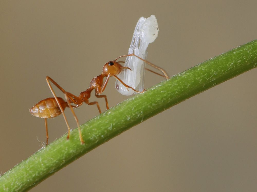 Photograph by Sahabuddin Sk