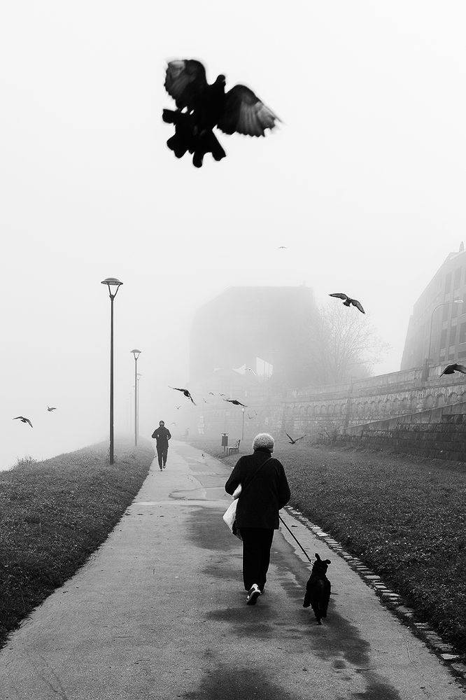 Photograph by Magda Chudzik