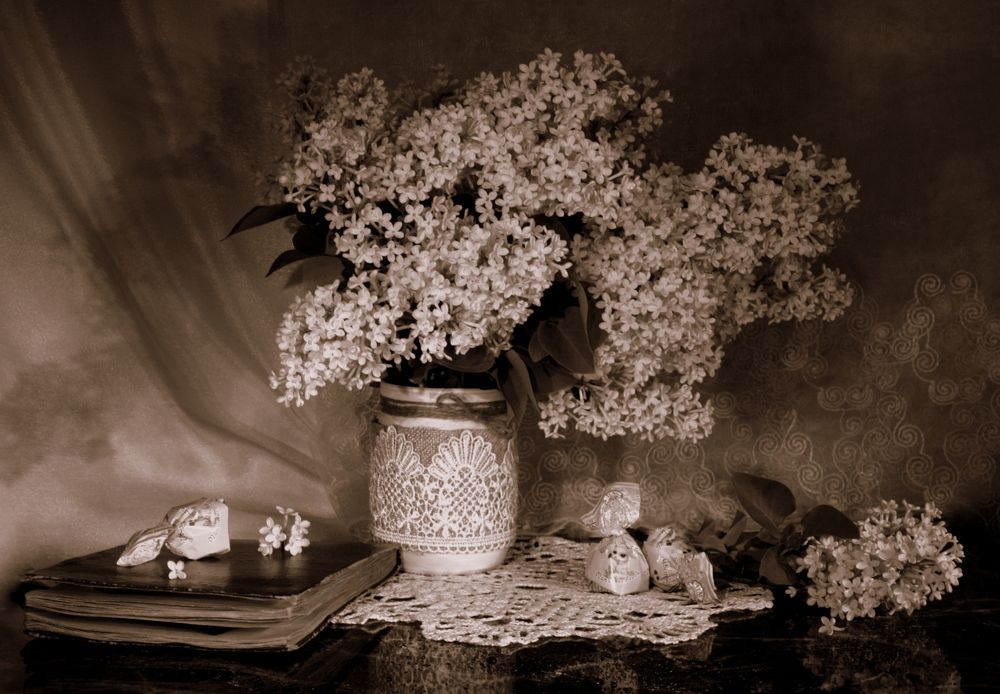 Фотография автора Nelya  Lysenko