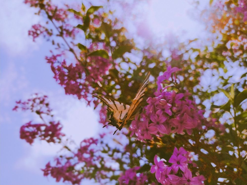 Photograph by Яна Петрова