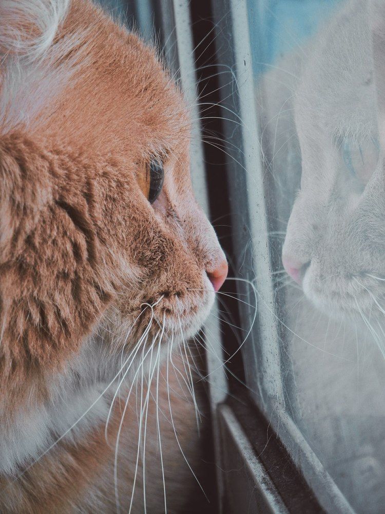 Photograph by Настя Трубкина