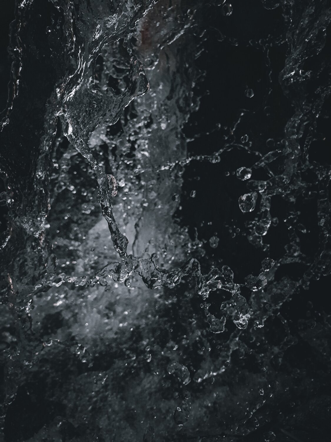 Photo #5857492
