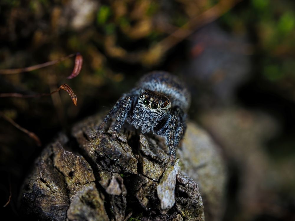 Photograph by Максим Кошелев