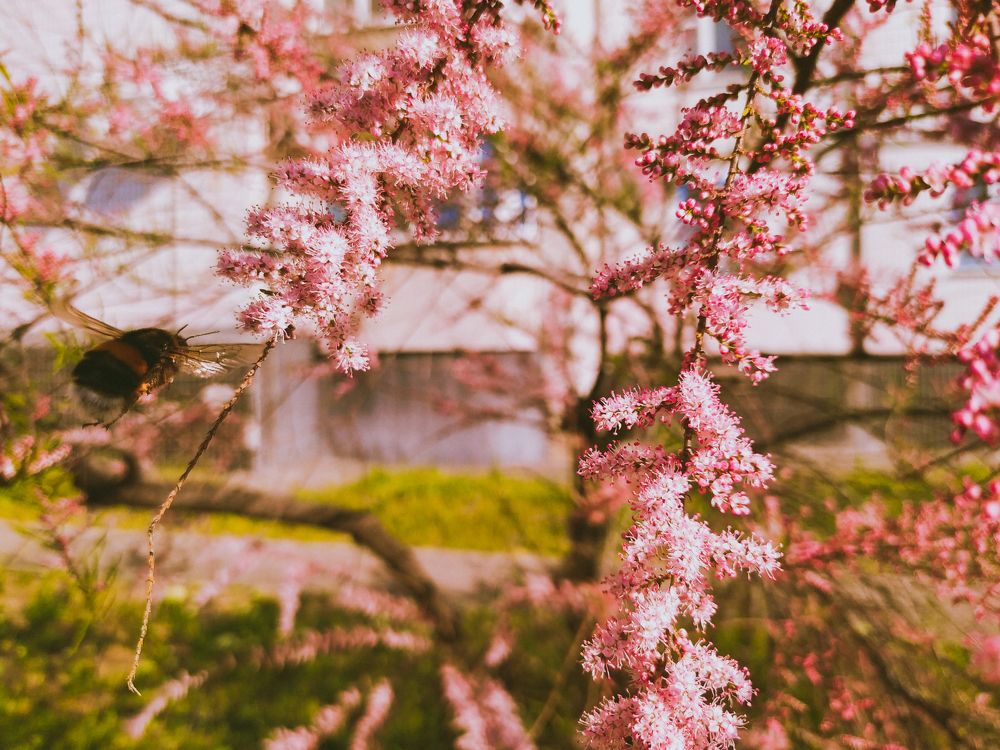 Photograph by Яна Петрова