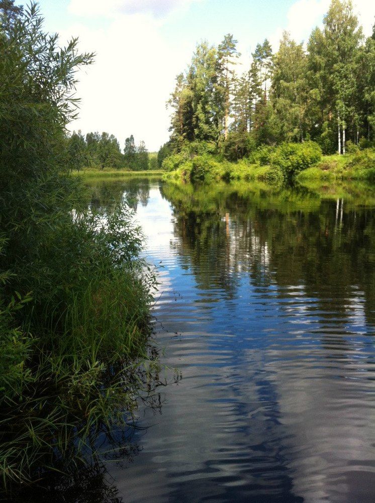 Photograph by Елена Куликова