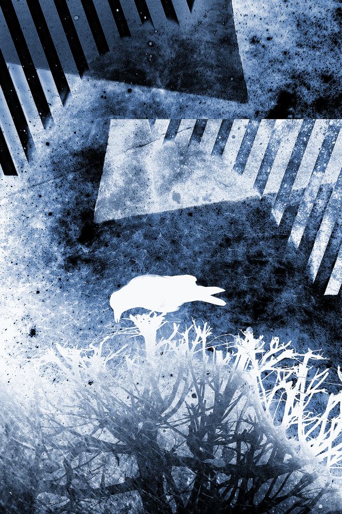 Photograph by Michal Rawski