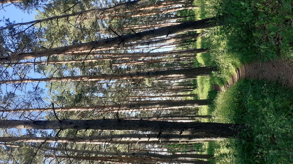 Photograph by Елена Лещева