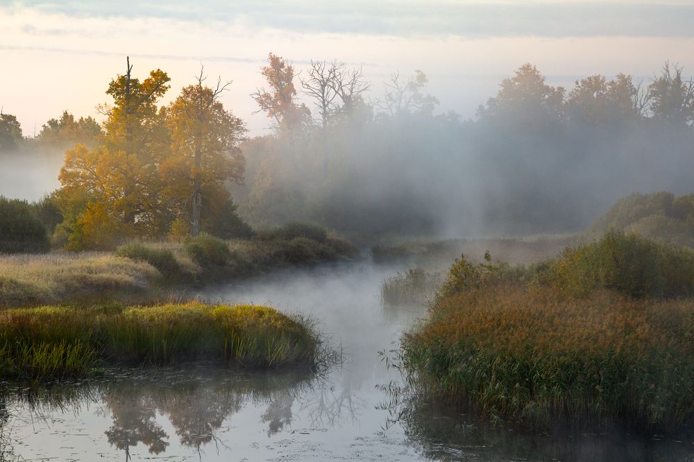 Осеннее утро