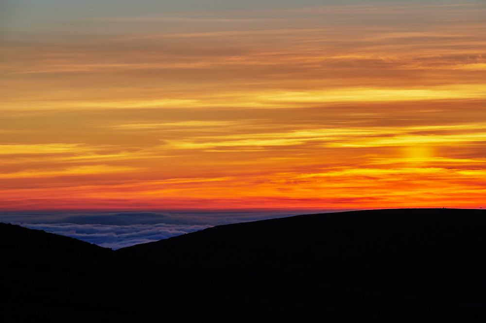 Заполярная палитра