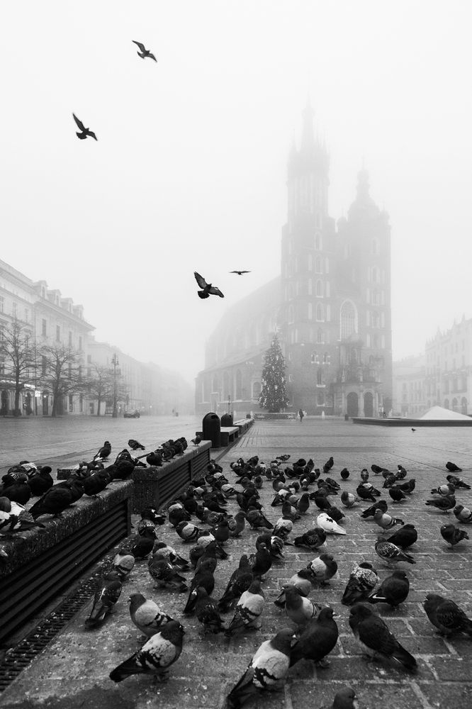 Photograph by Magda Chudzik