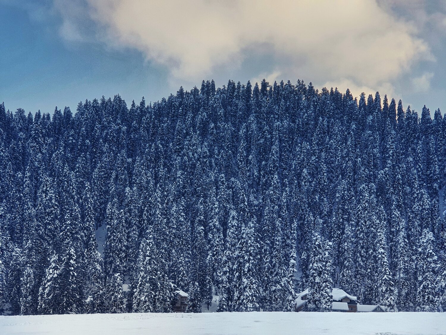 Photo #5857626
