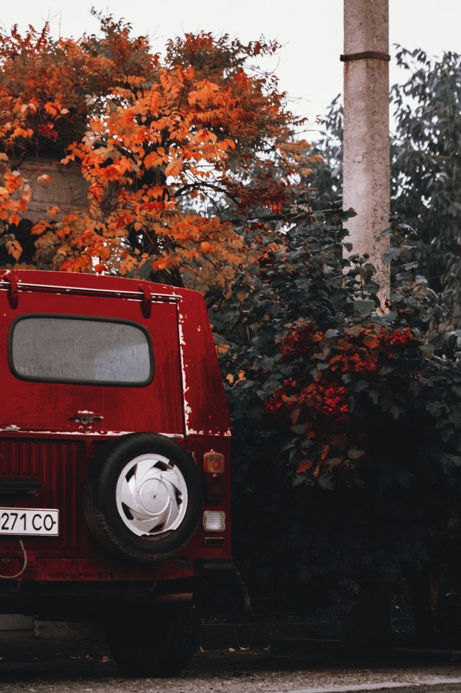 Photograph by Яна Петрова