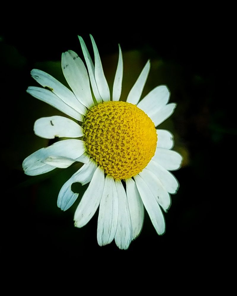 Photograph by Пастен