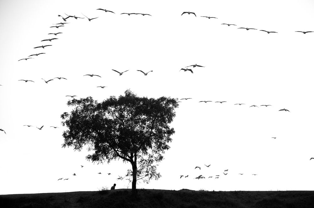 Photograph by Siddharth Rathod