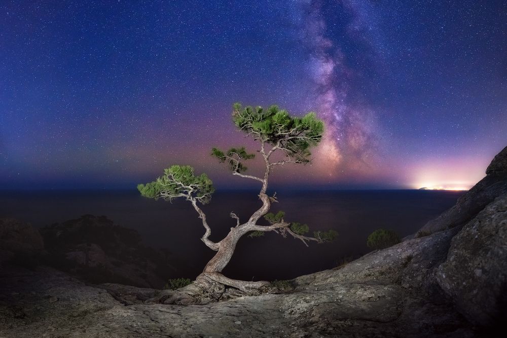 Photograph by Konstantin Voronov