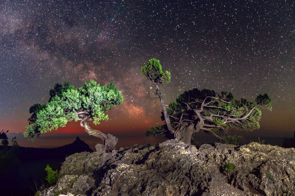 Photograph by Konstantin Voronov