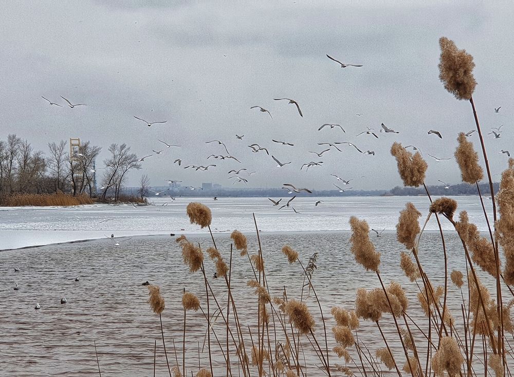 Фотография автора Igor Dyomin