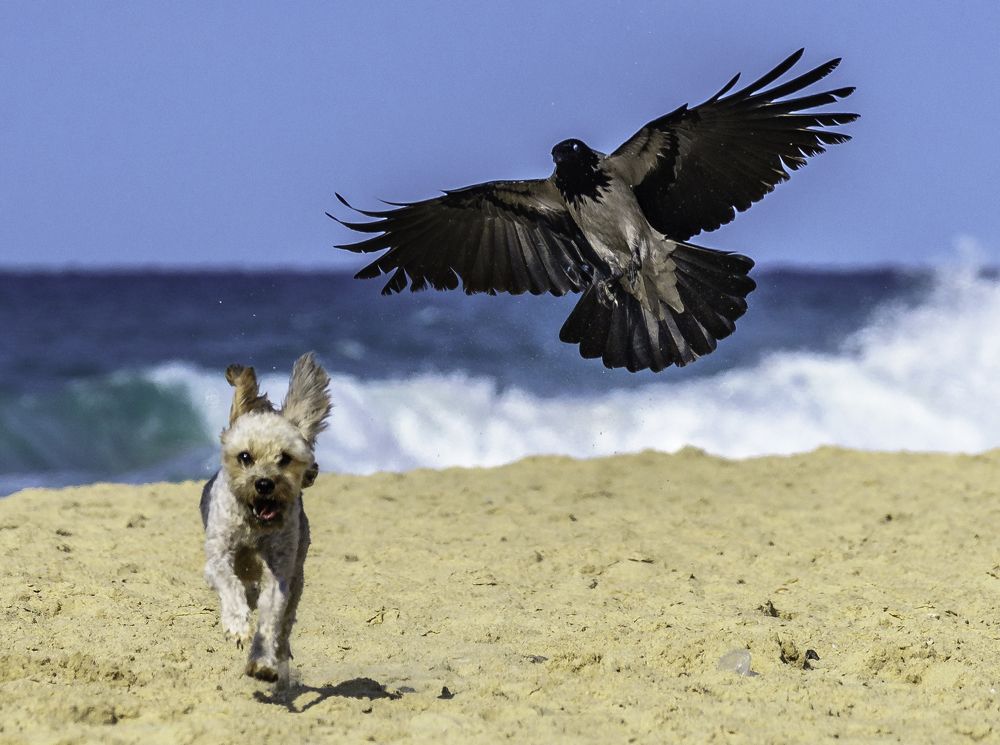 Photograph by Igor Tourovski