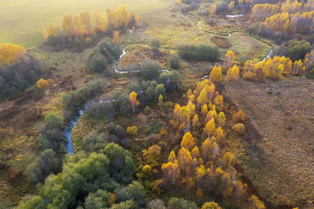 Фотография автора Олеся Боева