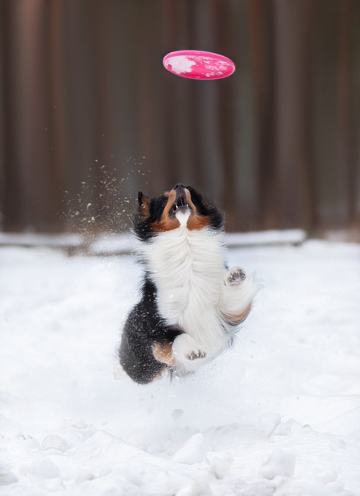 Photograph by Anna Oris