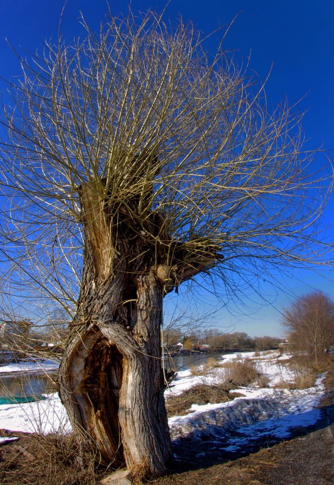 Photograph by Ильдар Ямбиков