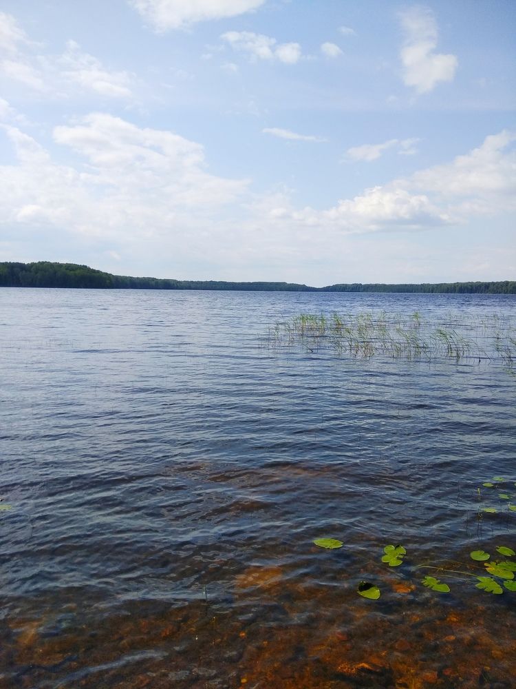 Photograph by Елена Куликова