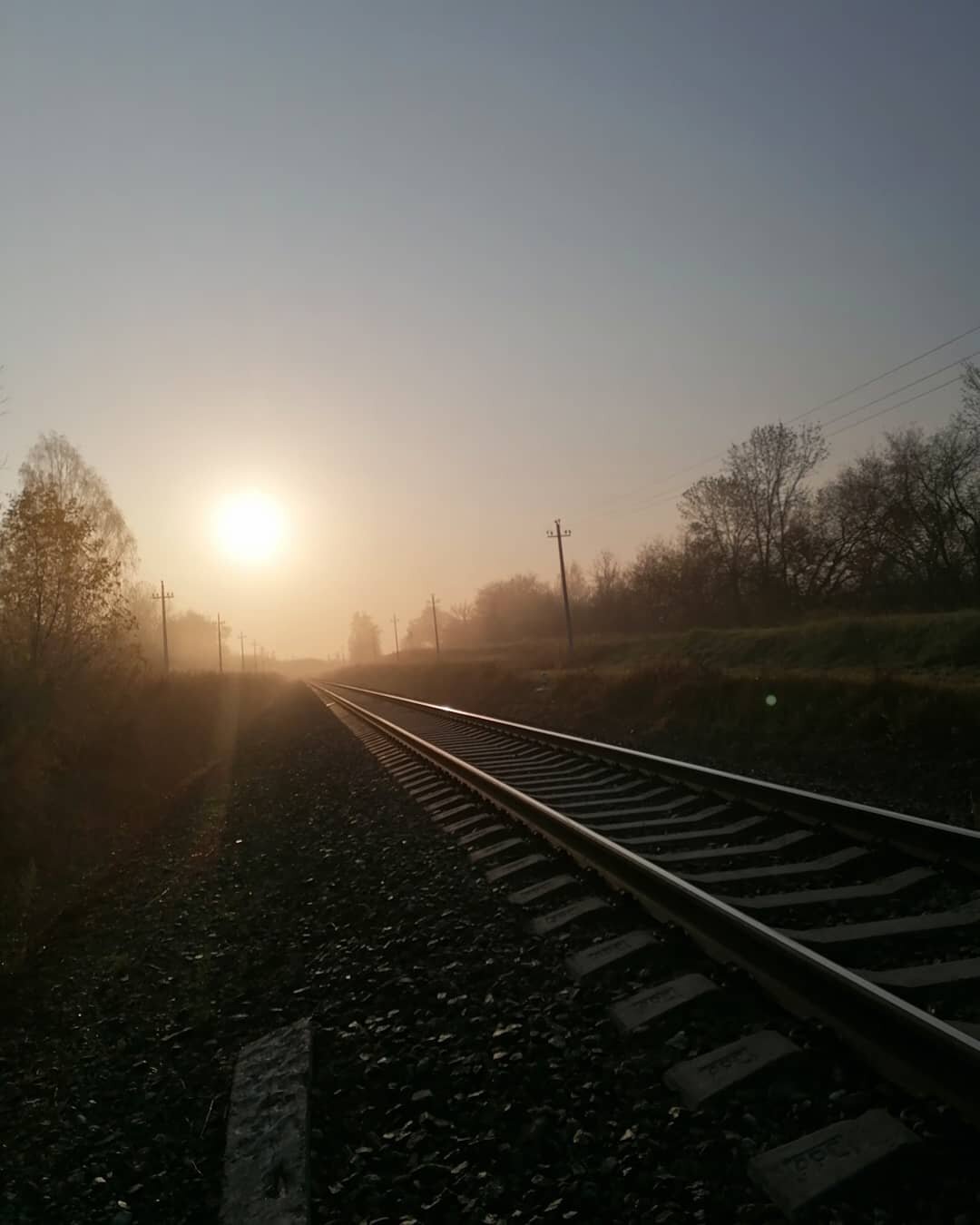 Photo #5857849