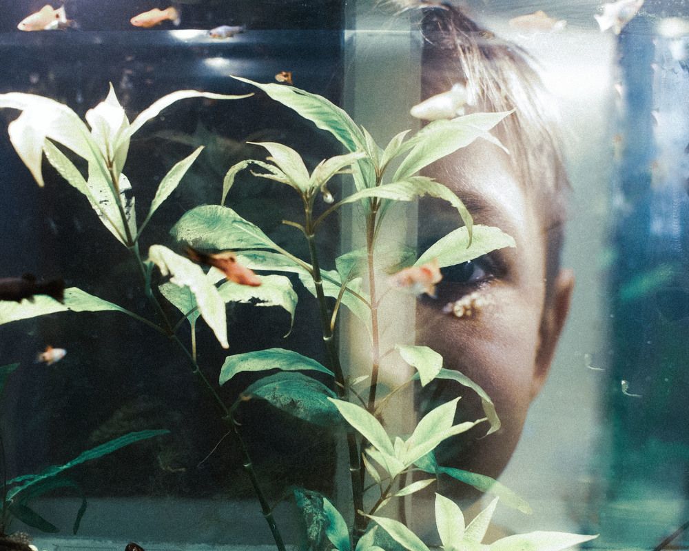 Photograph by Наталия Дорохова