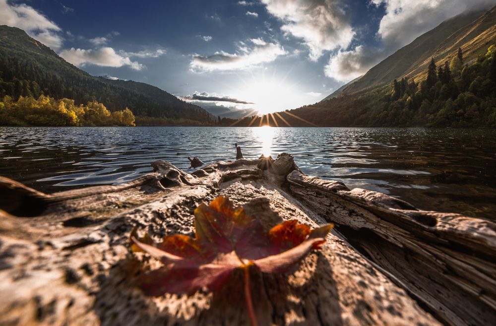 Photograph by Сергей Шабанов