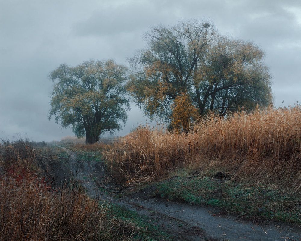 Photograph by Владимир Черных