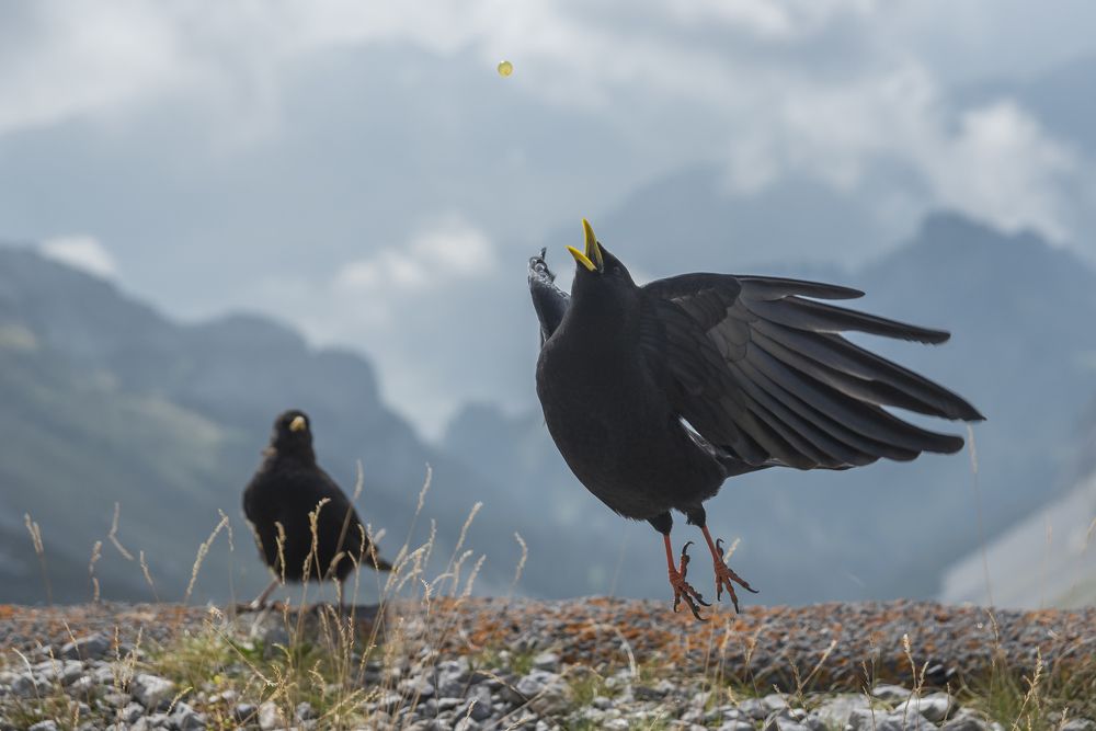 Photograph by Сергей Ослопов