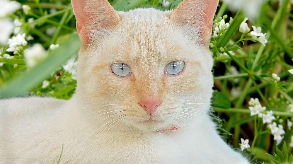 Photograph by mihail