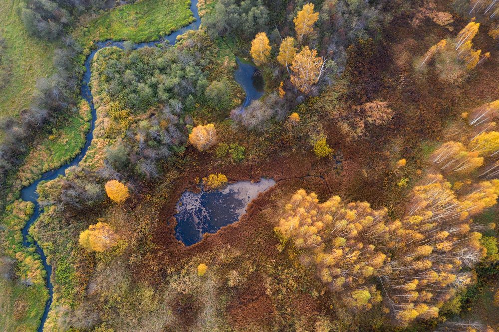 Глаза осени