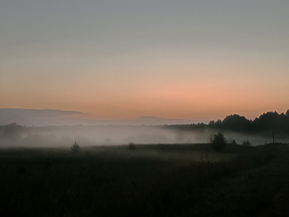 Photograph by Анастасия Сушинская