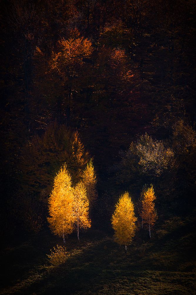 Photograph by Svetoslav Georgiev