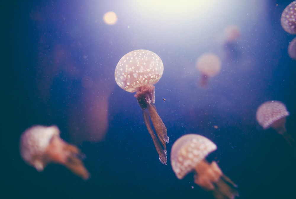 Photograph by Ольга Якубович