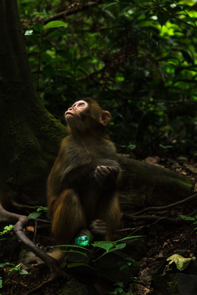 Photograph by Agnieszka Wieczorek