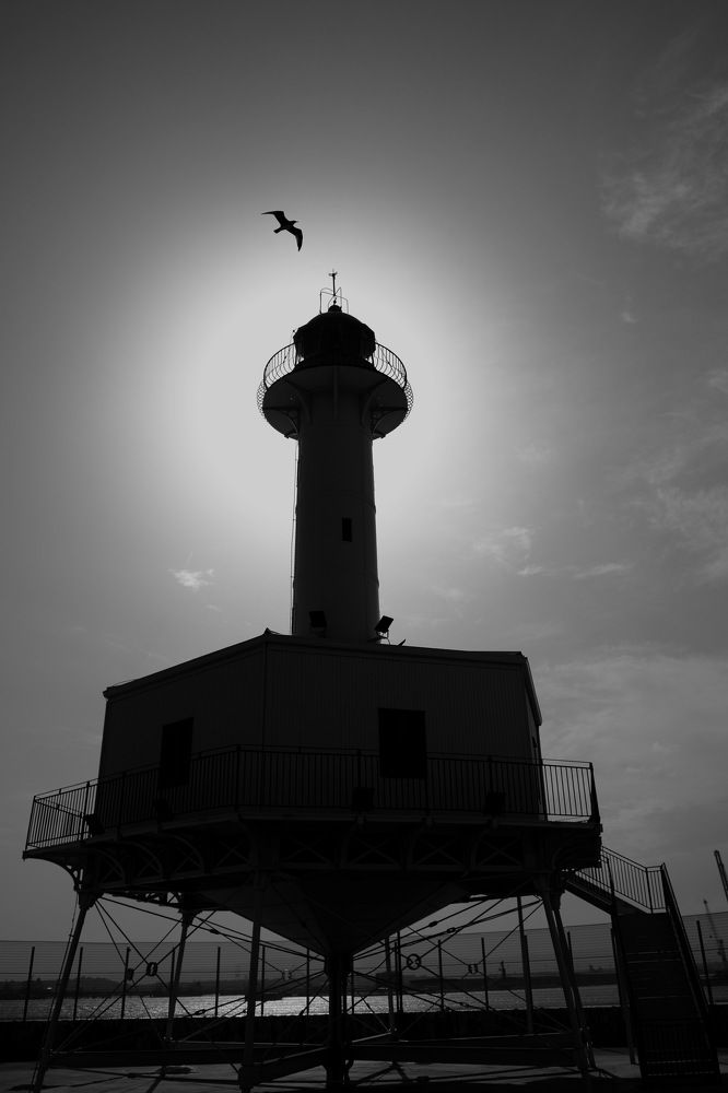 Photograph by Константин Кован