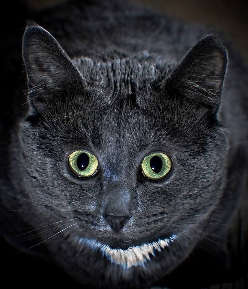 Photograph by mihail