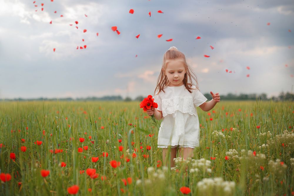 Прогулка в маковом поле