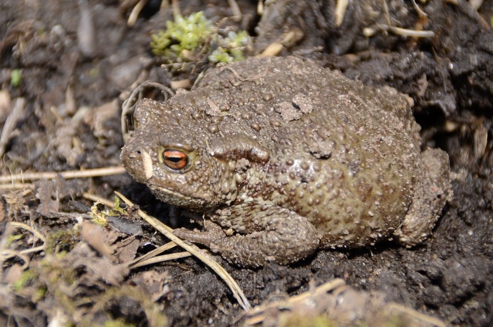 Photograph by Николай Соколовский