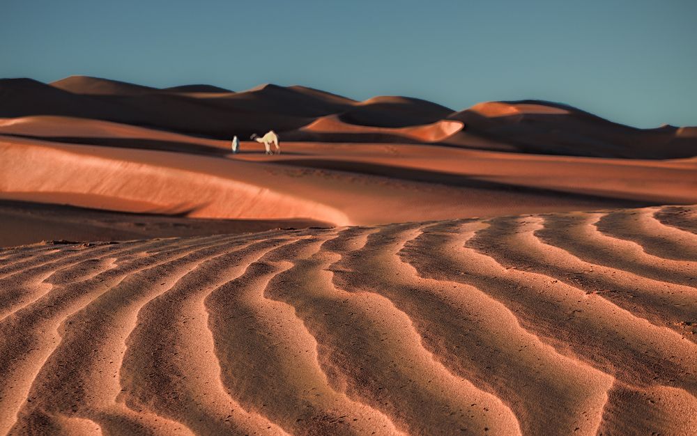 Photograph by Fatimah AlSabeeha